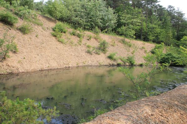 Pond Erosion Repair in Ooltewah
