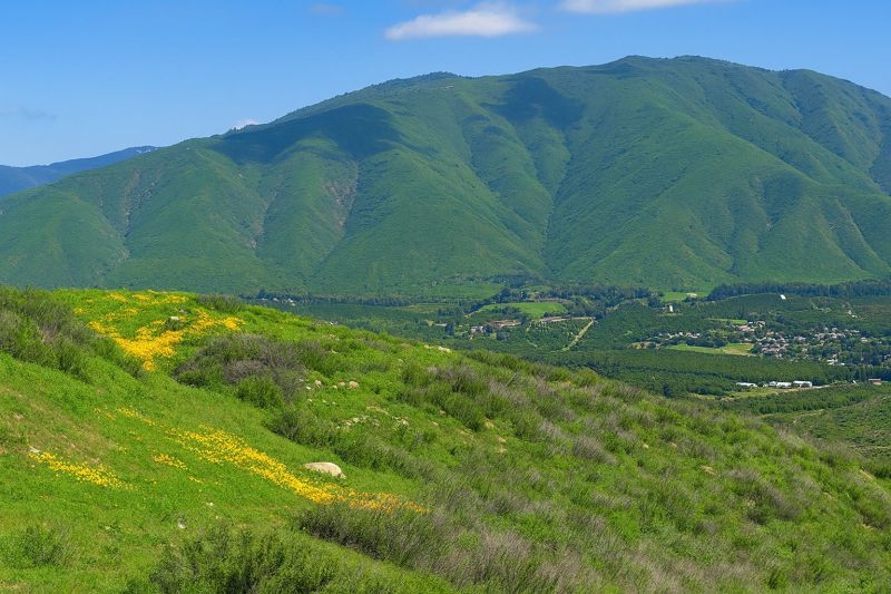 Land Shaping Service